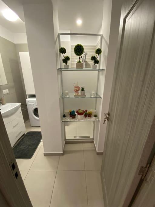 Cozy Central Apartment With 2 Rooms Bucureşti Exterior foto